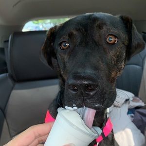 Meet your Posher, Hailey